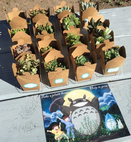 Plants serve as Totoro party favors. Photo by Ariane Coffin.