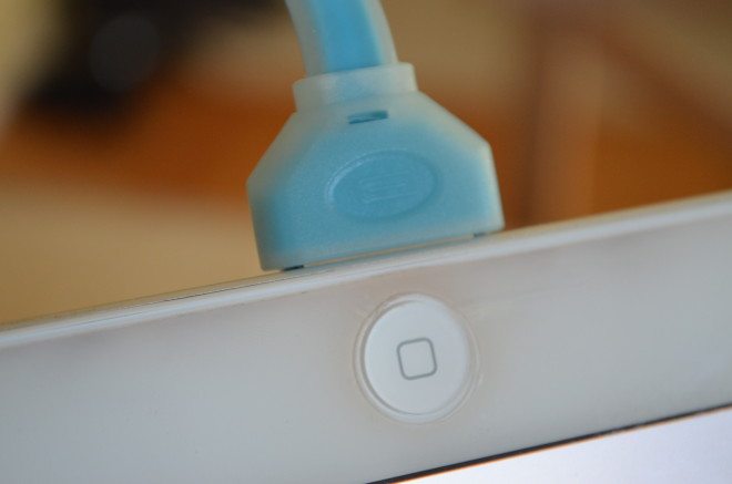 This close up will show you the translucent glow-in-the-dark plastic coating. Photo: Patricia Vollmer.