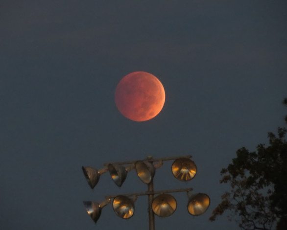 IMG_2355Cropped8X10_filteredFixed