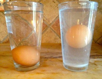 Fun with density. Photo by Cristen Pantano