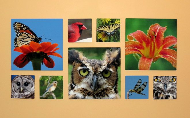 Look at that collage! Image: Maryann Goldman