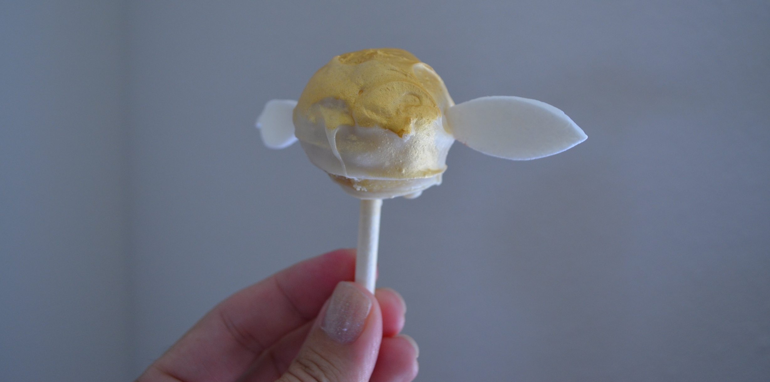 I have decorated many cakes in my life...but these little cake pops are the most difficult I have ever done. Photo: Patricia Vollmer.