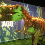 Dinosaur!  Image: Dakster Sullivan