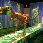 Lego Dino!  Image: Dakster Sullivan