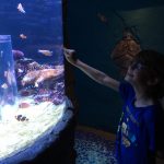 I found Nemo!  Image: Dakster Sullivan