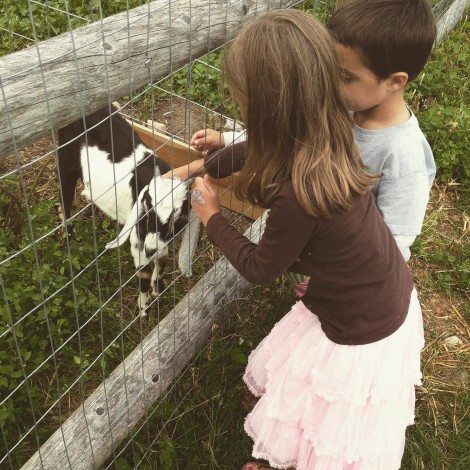 Image source: Caitlin Fitzpatrick Curley