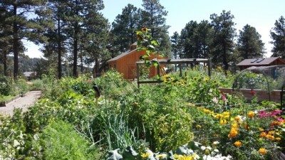 Horticulture? Photo: Judy Berna