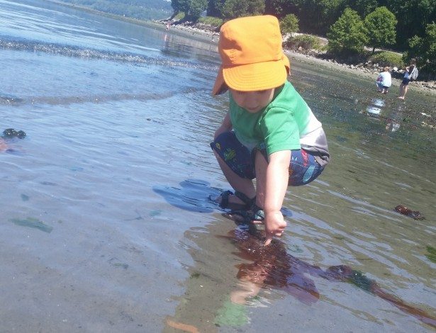 2015-06-07 13.50.03 (1)