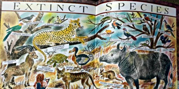 Delight Animal Lovers with 'Many: The Diversity of Life on Earth’