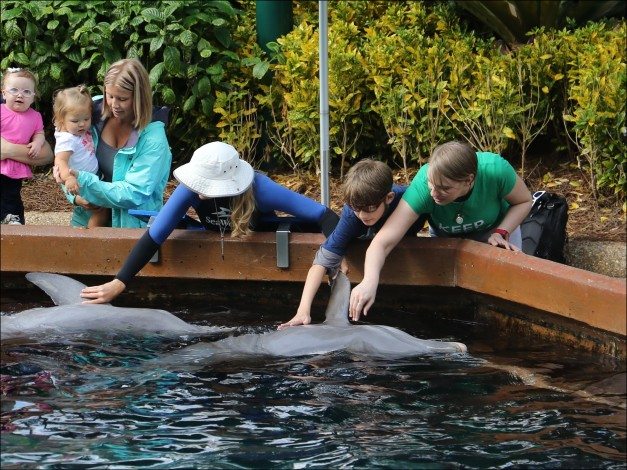 Tasha and Yar were a blast to learn with.  Image: Dakster Sullivan