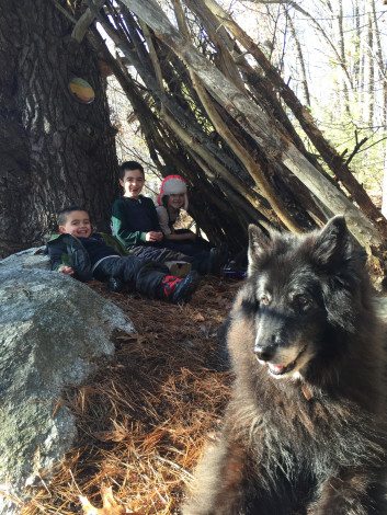 Image source: Caitlin Fitzpatrick Curley