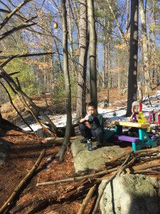 Image source: Caitlin Fitzpatrick Curley