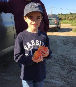 Image source: Caitlin Fitzpatrick Curley