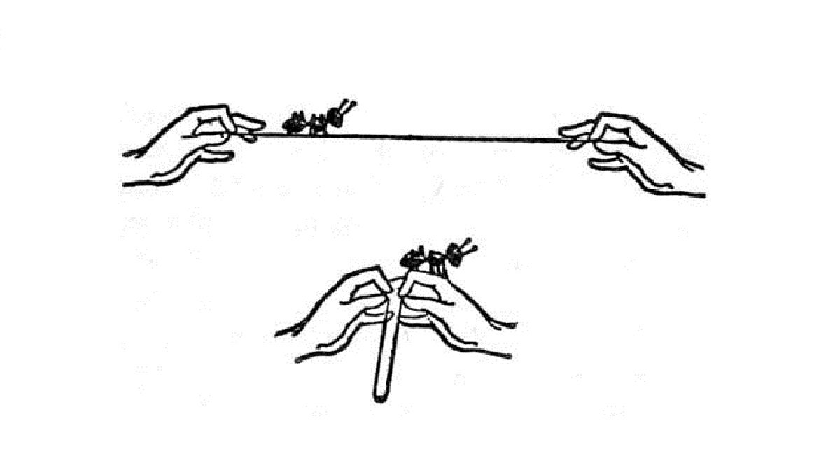 Illustration from A Wrinkle In Time, hands holding an outstretched string with an ant on one end, then hands folding the string together, so the ant is now perched on the hands
