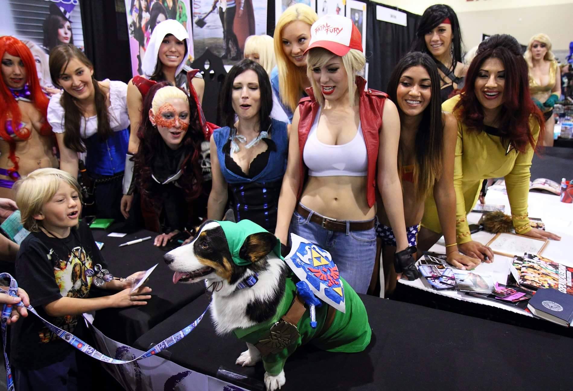 Look ladies, but don't touch. Kiba's a working dog. \ Image: Kiba the Cosplay Corgi