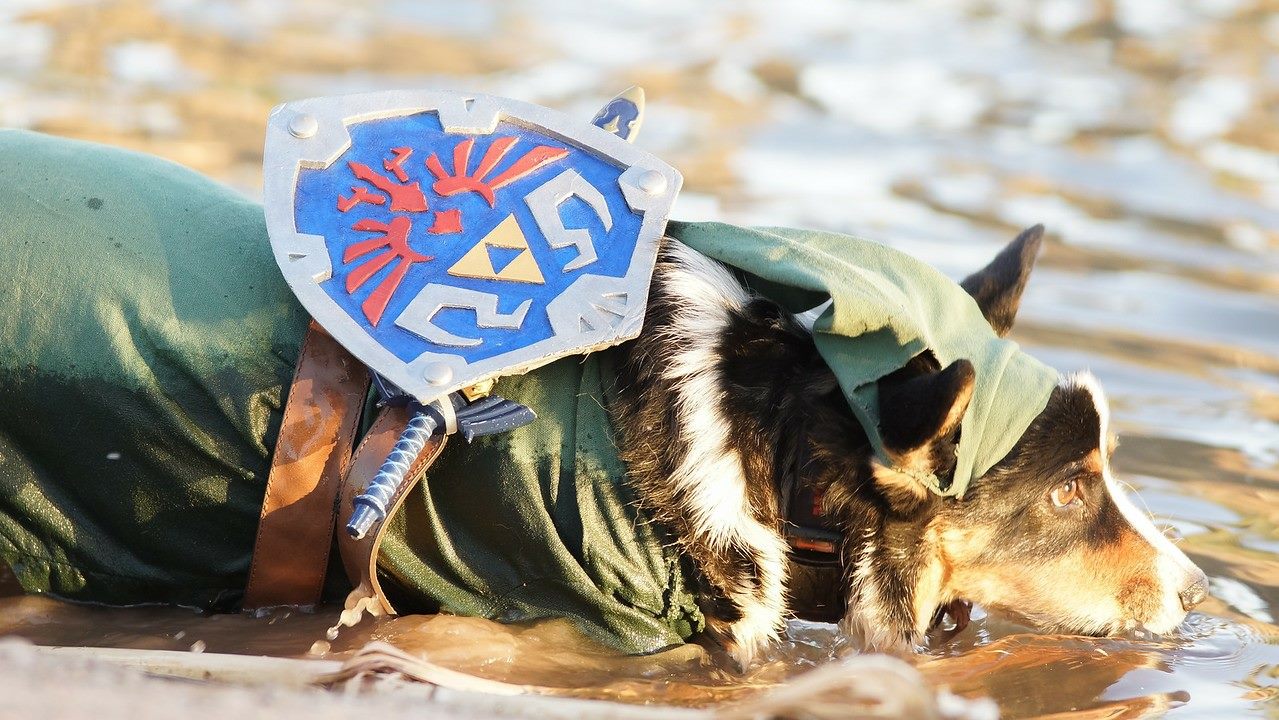 The water in Hyrule is pretty tasty. \ Image: Kiba the Cosplay Corgi