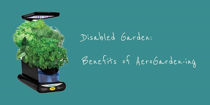 Benefits of Aerogarden-ing Image Jules Sherred