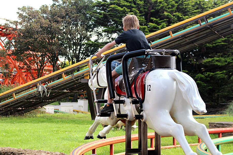 My Son Sets off on Steeplechase, Image: Sophie Brown