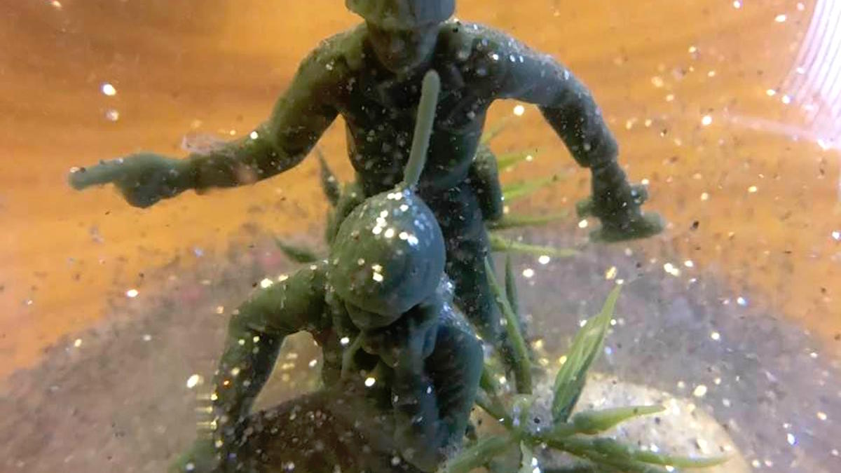 BattleBulgeSnowGlobeFeature