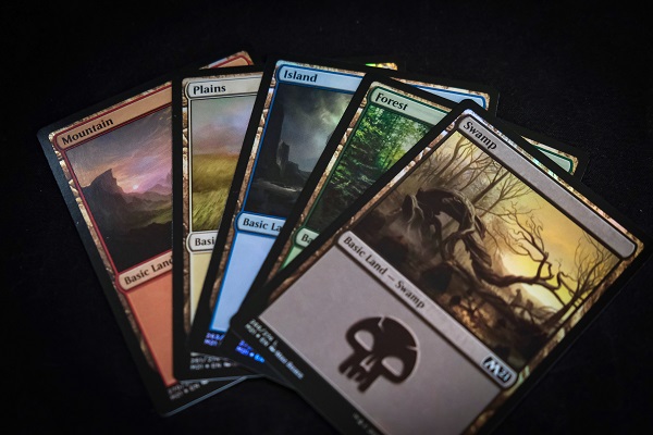 MtG Basic Land Cards 