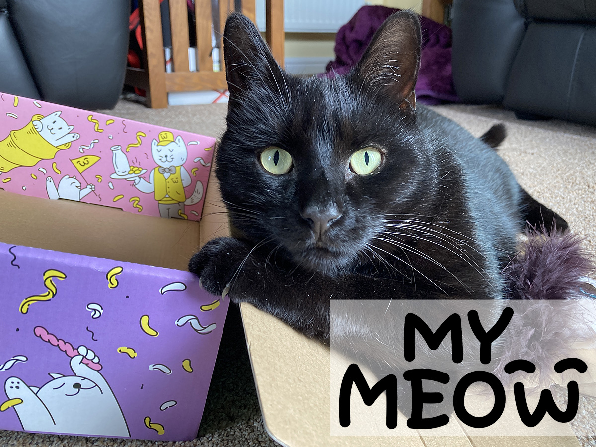 MyMeow Subscription Boxes for Cats, Image Sophie Brown, Logo My Meow