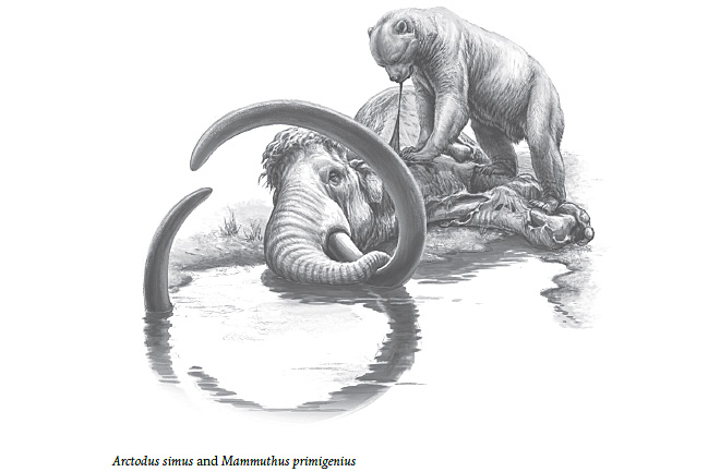 Otherlands Chapter One Illustration