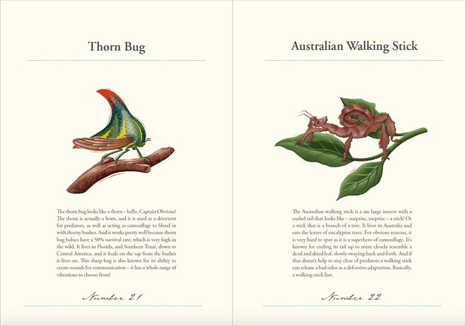 Image from Encyclopedia of Amazing Insects 