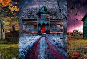 Flipsi Puzzles, Image Flipsi Puzzles