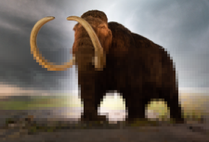 Original image CC BY @quinet Thomas Quine on Flickr