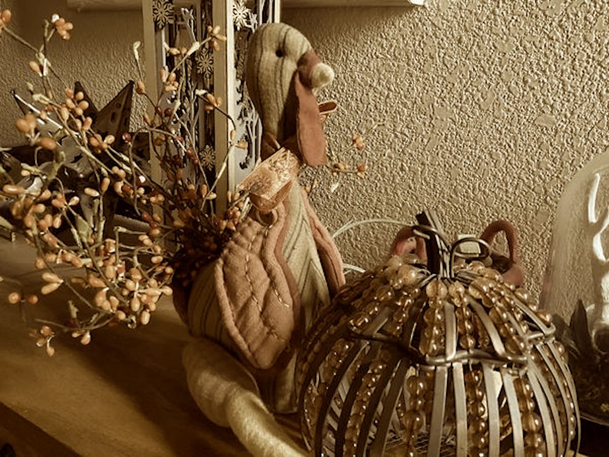 Thanksgiving feature